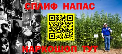 стаф Новозыбков