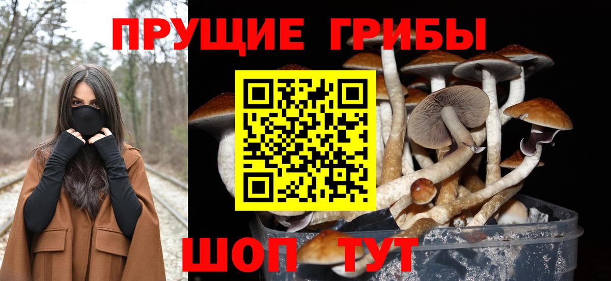 Сальск  Галлюциногенные грибы Magic Shrooms  Вход с VPN 